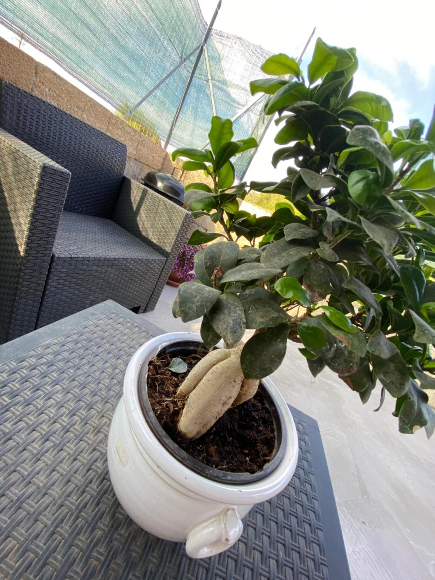 Matine & Matine - Salento Selection Vila Tricase Exterior foto